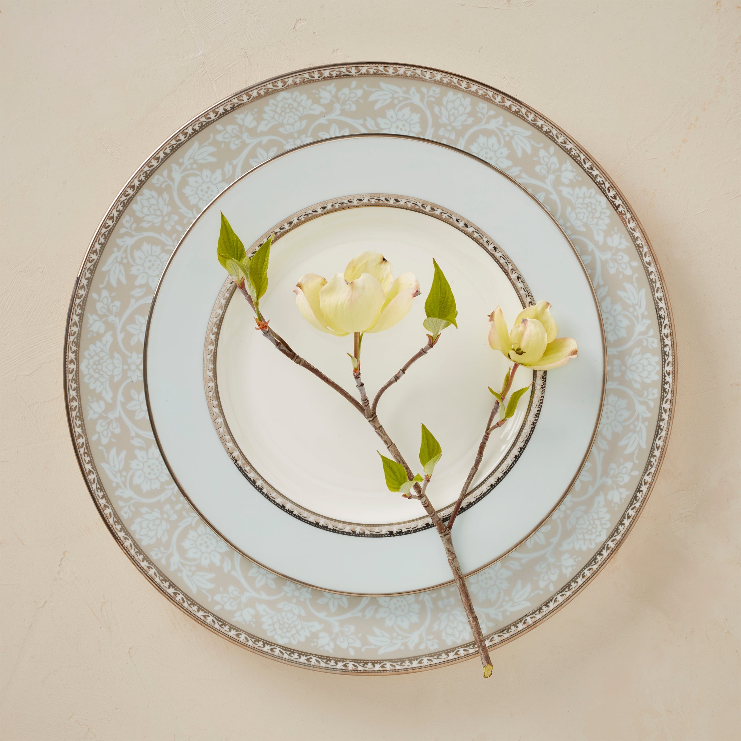 Westmore Dinner Plate - Image 8