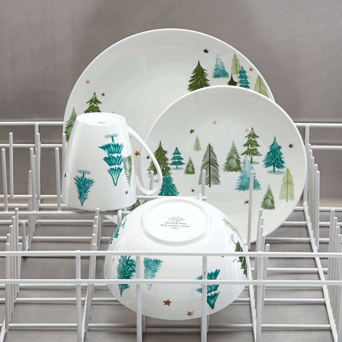 Balsam Lane Dinner Plates - Set of 4 - Image 5