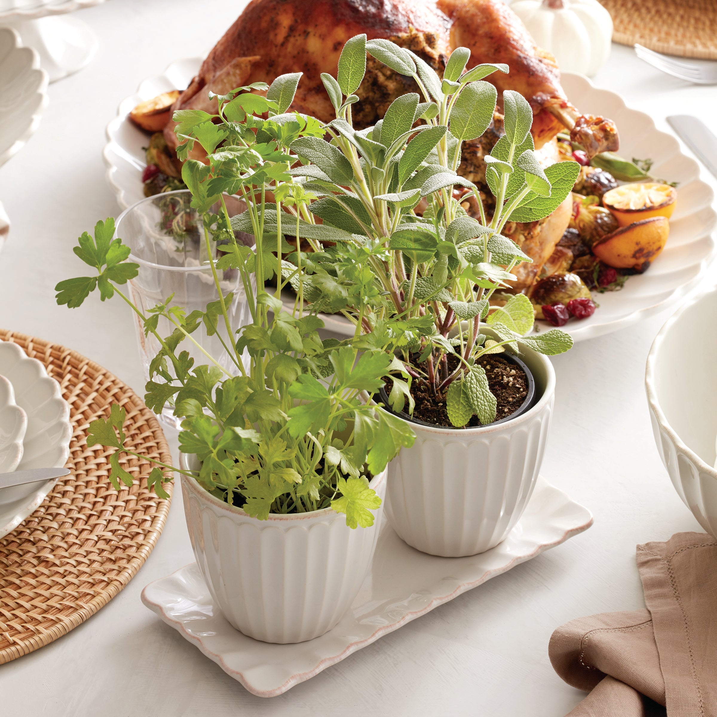French Perle Scallop 3-Piece Herb Pot Set - Image 5